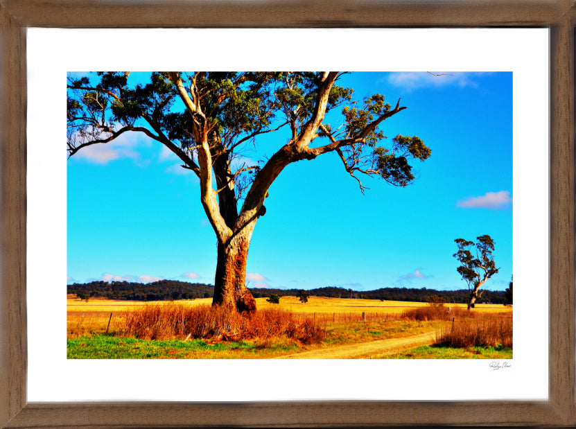 Australia Blue - Landscapes