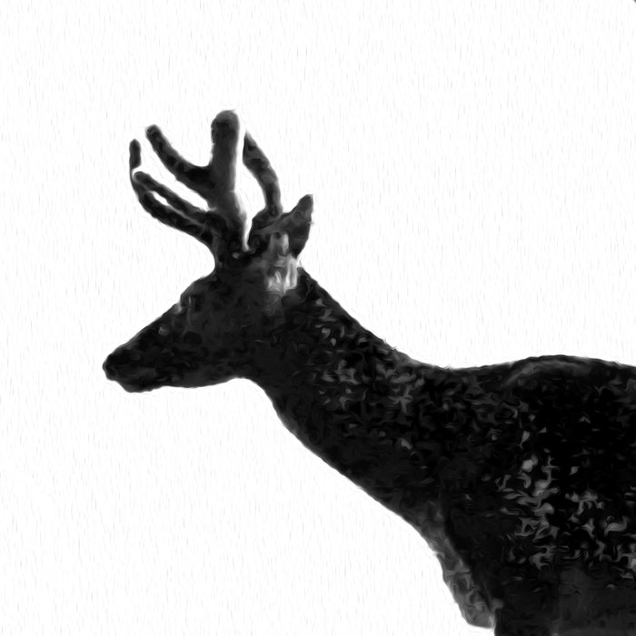 Deer Head in Texture