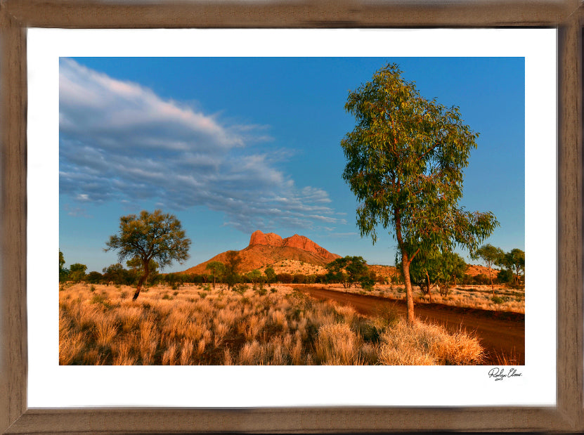 Haasts Bluff Blue - Landscapes