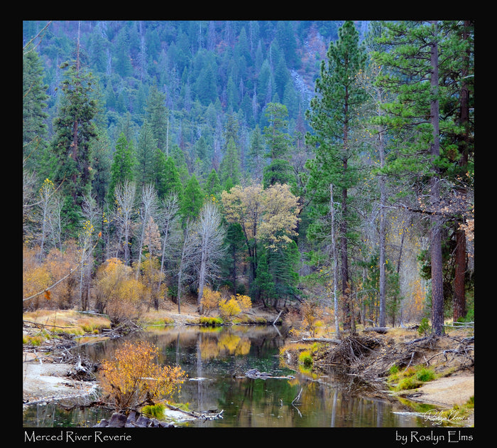 SOLD Merced River Reverie -  500 Piece Jigsaw Puzzle
